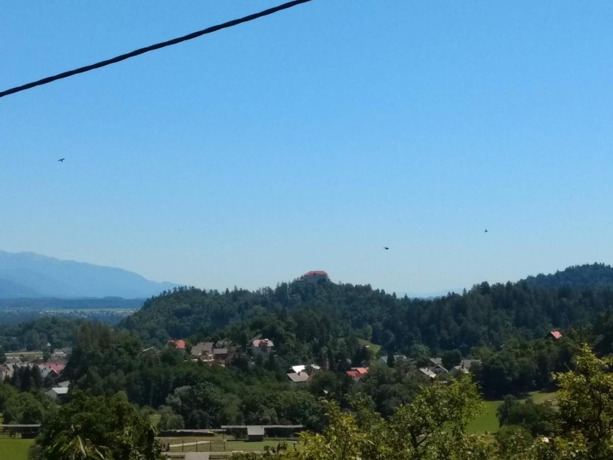 Apartamento Pr' Hribar Zgornje Gorje Exterior foto