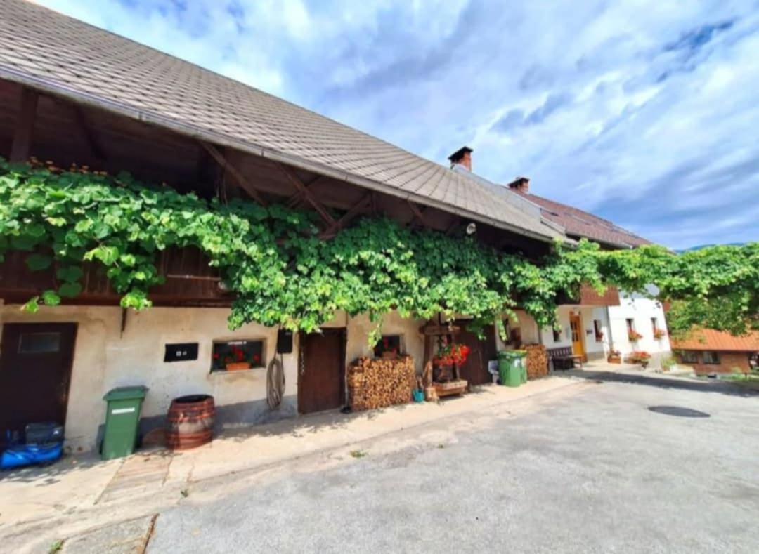 Apartamento Pr' Hribar Zgornje Gorje Exterior foto