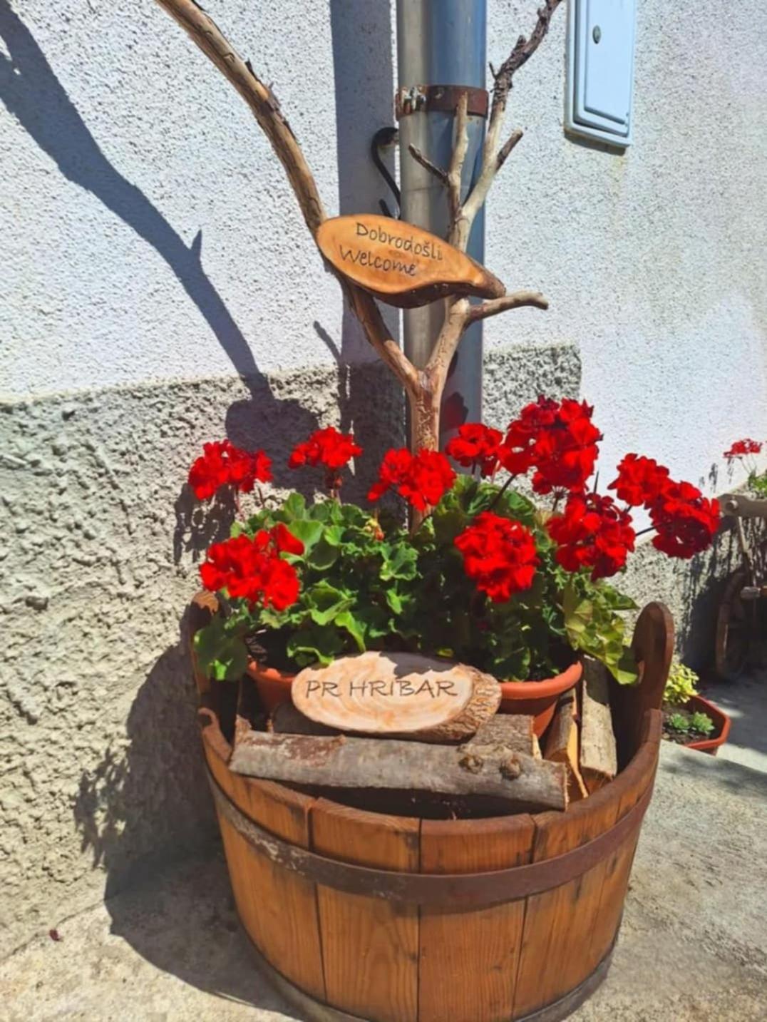 Apartamento Pr' Hribar Zgornje Gorje Exterior foto